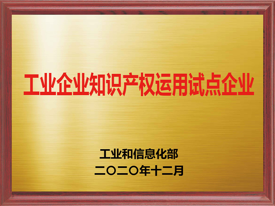 5-工业企业知识产权运用试点企业5.jpg